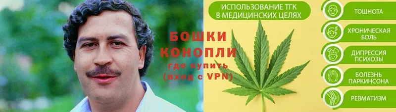 где найти   Медынь  Марихуана Ganja 